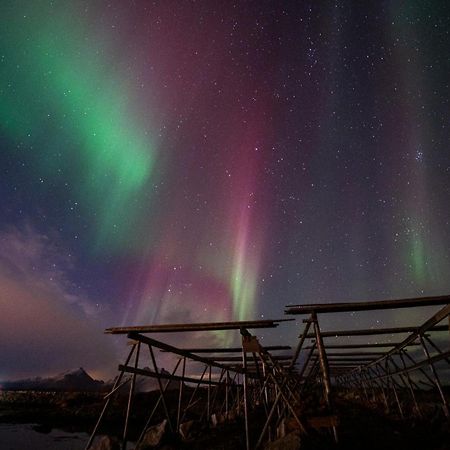 Fish Factory -The Real Lofoten Experience Ballstad Buitenkant foto