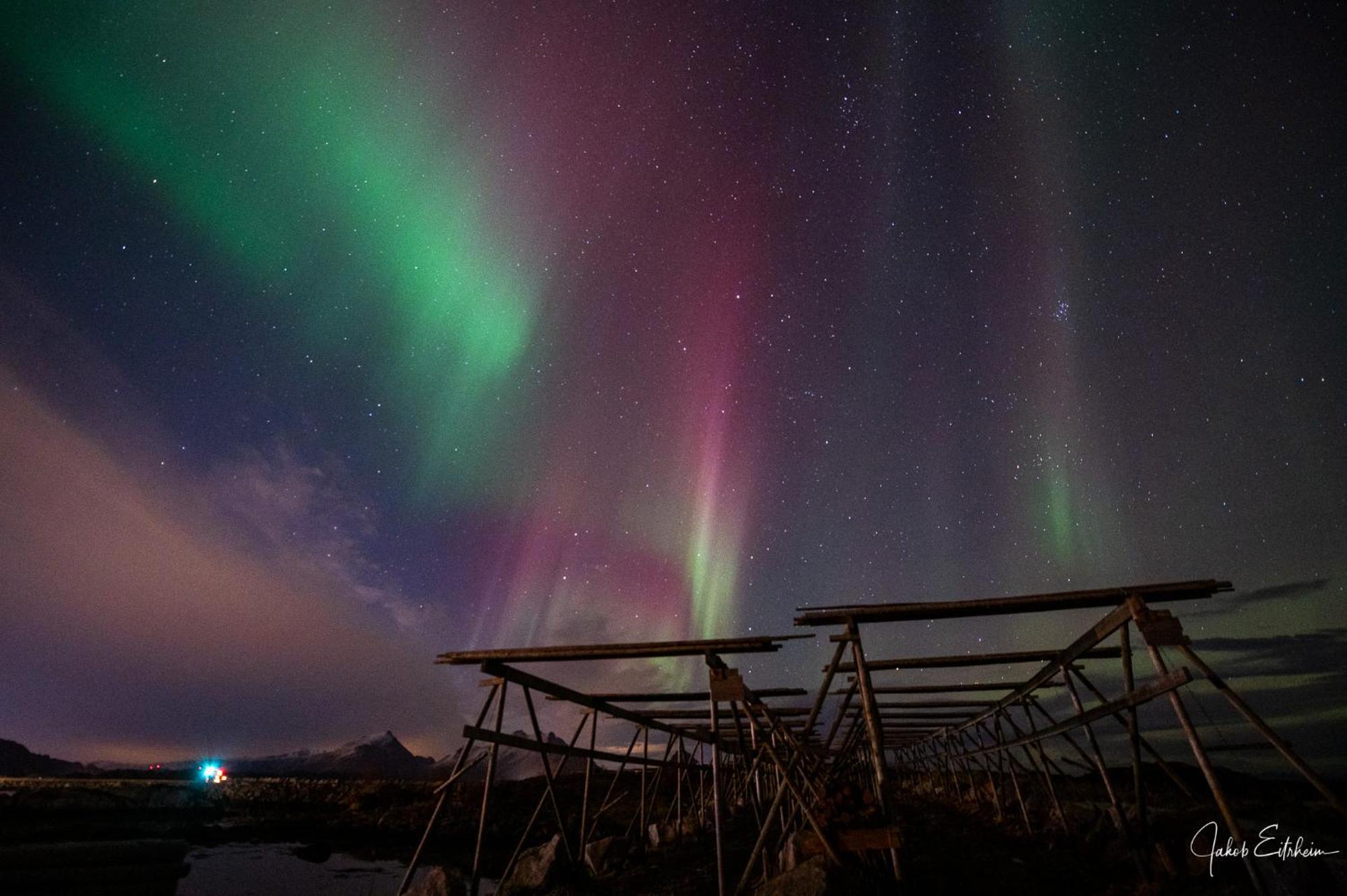 Fish Factory -The Real Lofoten Experience Ballstad Buitenkant foto